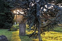Colchester Cemetery and Crematorium 281641 Image 0